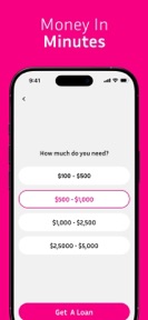 Easy Cash Advance: Float Money screenshot