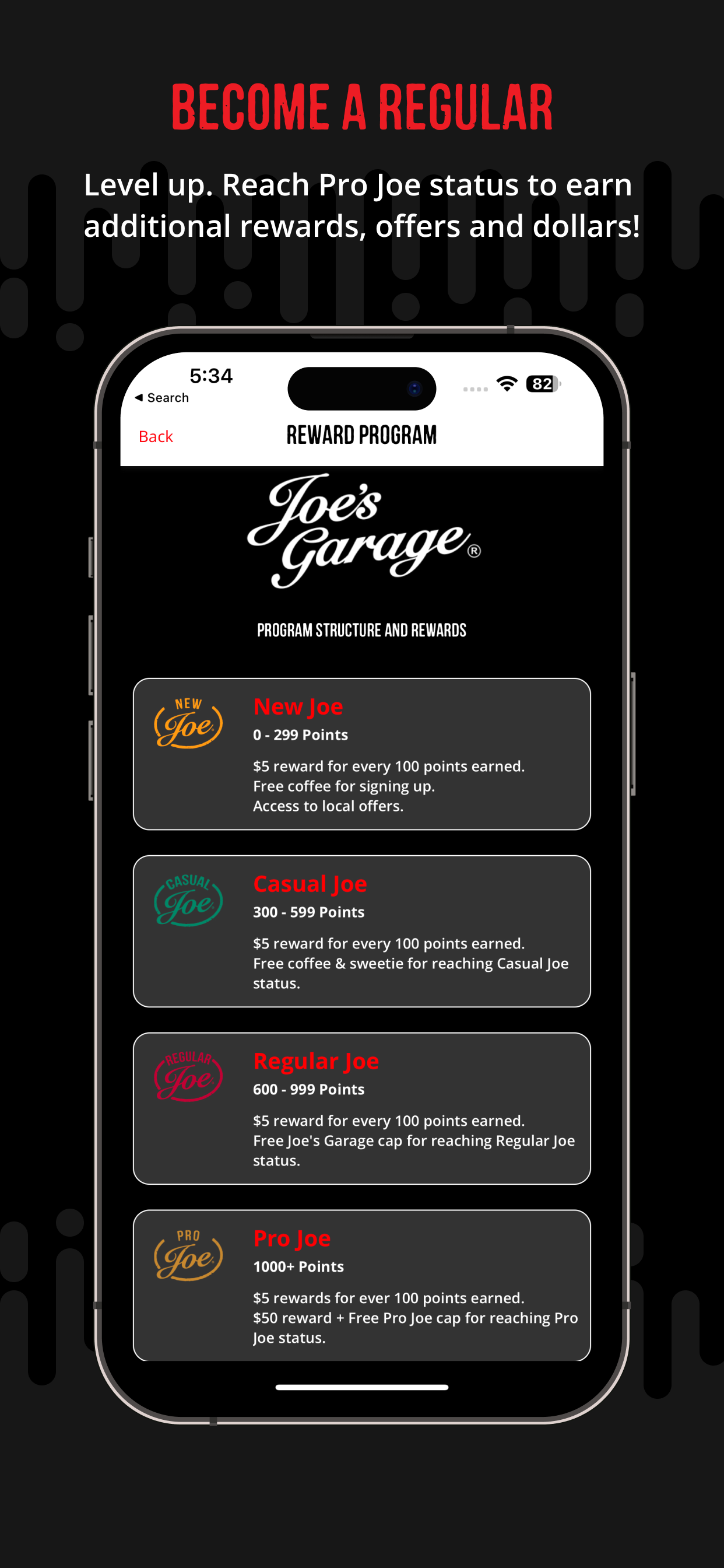 Regular Joe - Joe's Garage NZ