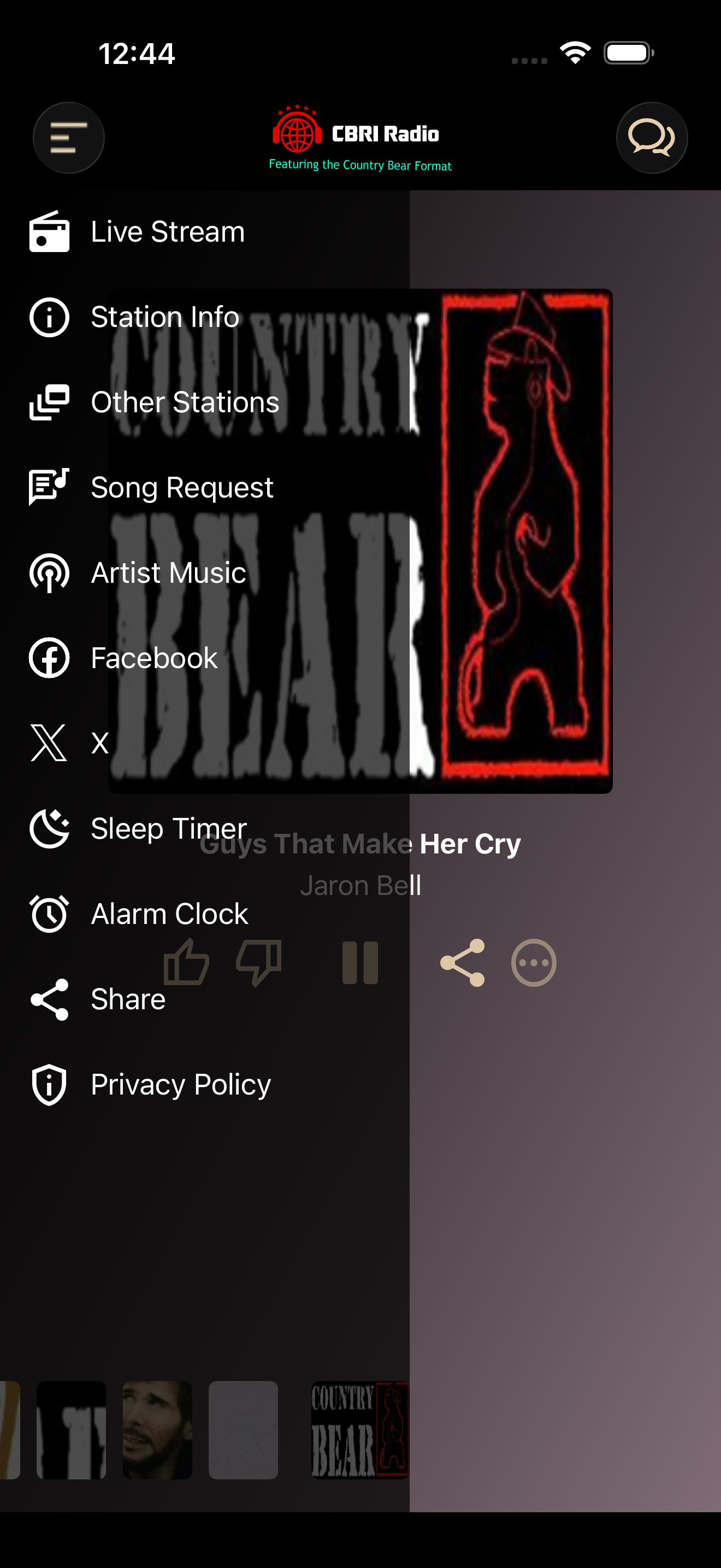 Country Bear Radio screenshot 4
