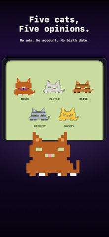 MICIO: AI Virtual Pet Cat Screenshot 8 of 8