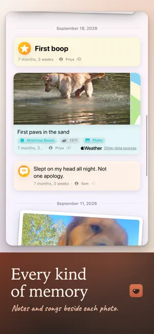 Boop Book screenshot 2