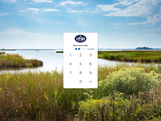 Hebron Savings Bank iPad screenshot 2 - Finance app