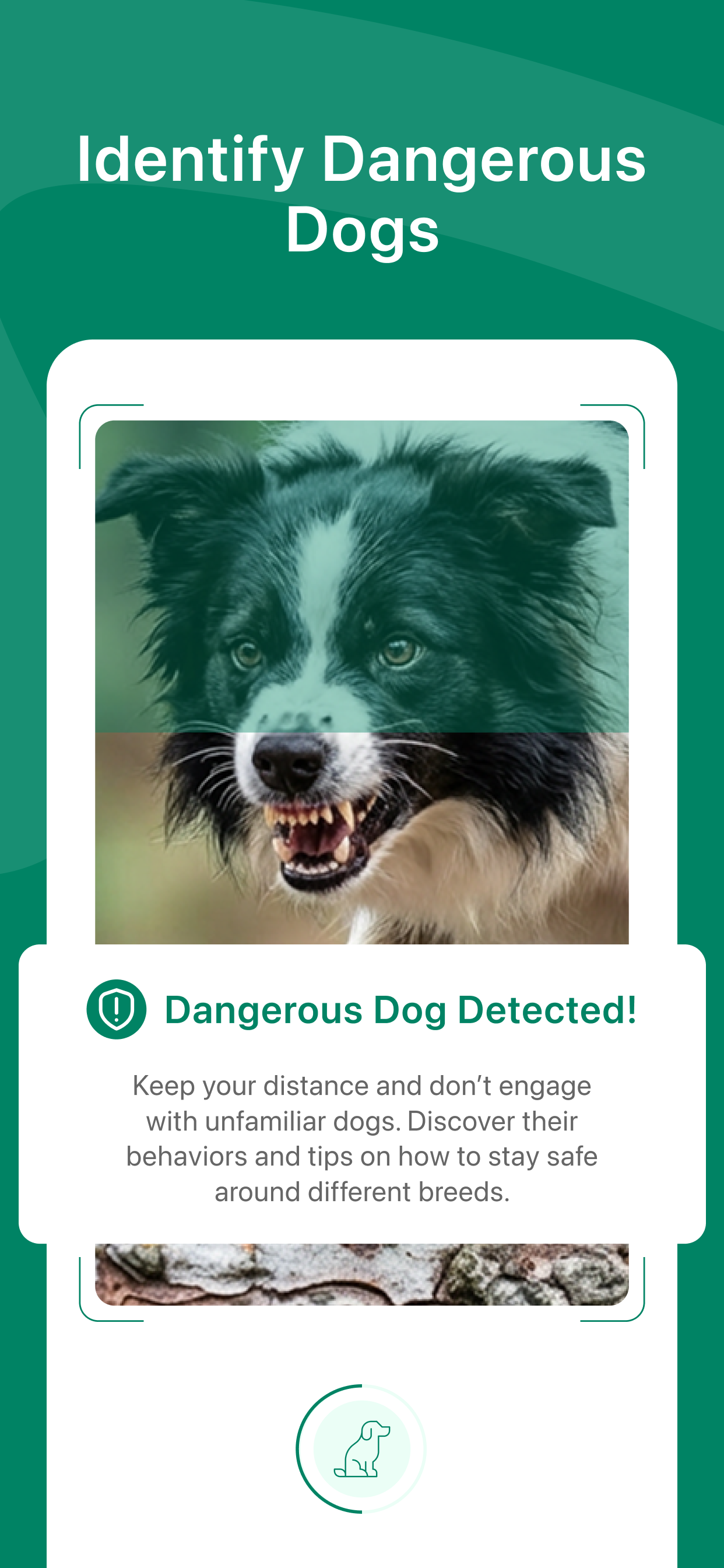 Dog Breed Identifier + AI screenshot 3