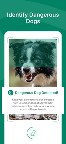 Dog Breed Identifier + AI iPhone screenshot