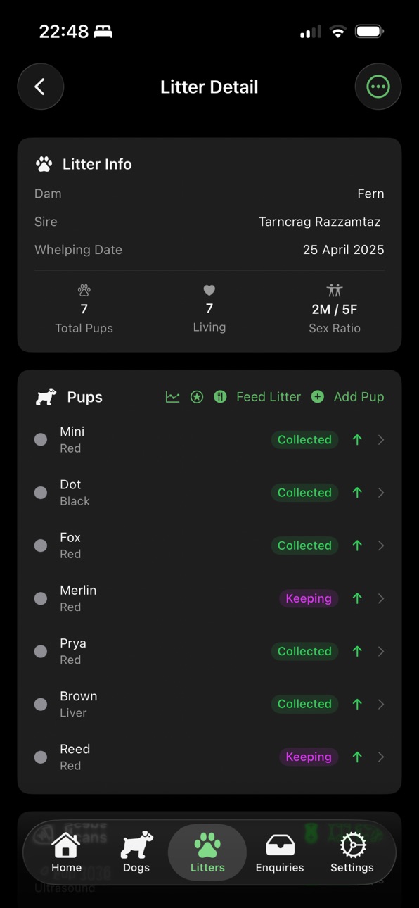 iPhone screenshot