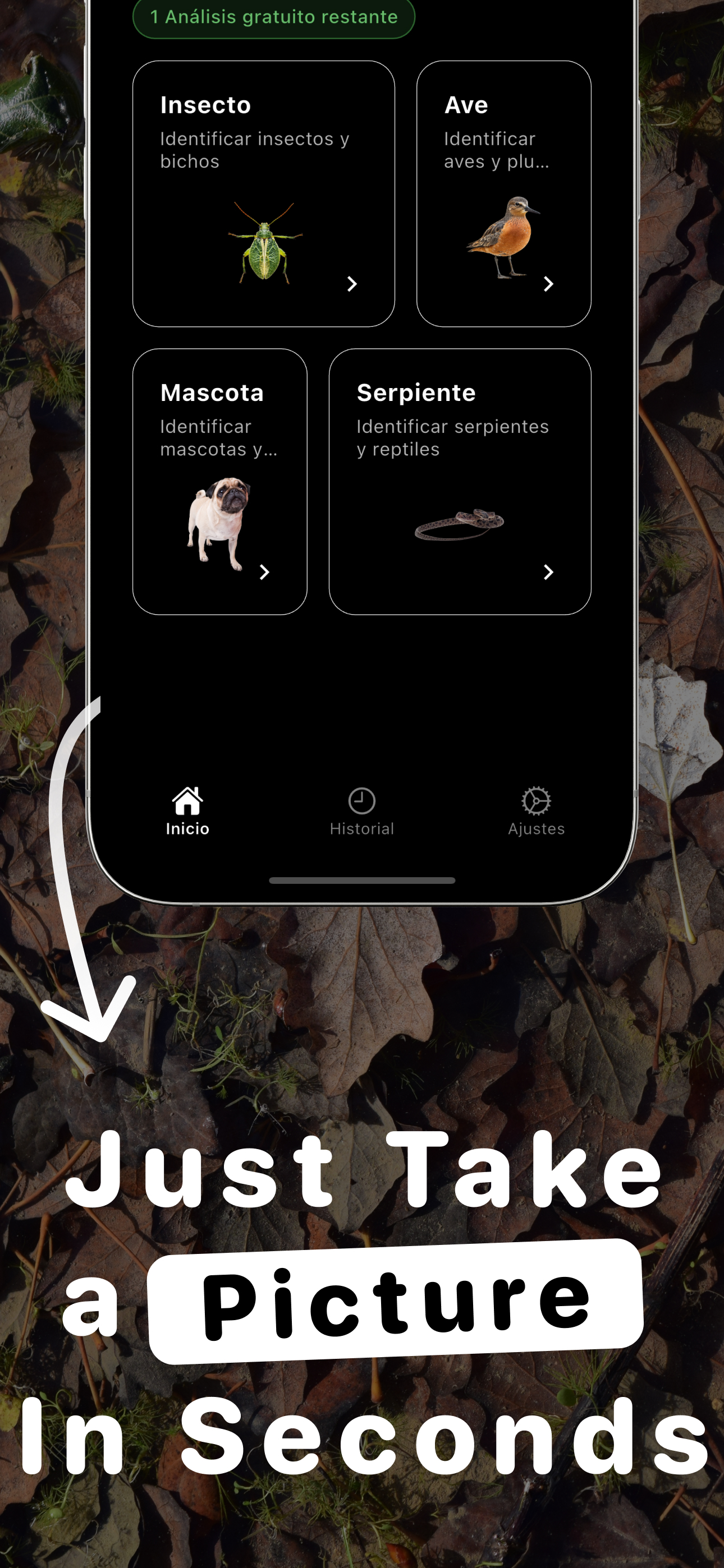 https://is1-ssl.mzstatic.com/image/thumb/PurpleSource211/v4/4e/35/d0/4e35d017-a42b-05e2-3e90-868d6a9f9993/iPhone_13_mini_-_4.jpg/1290x2796.png