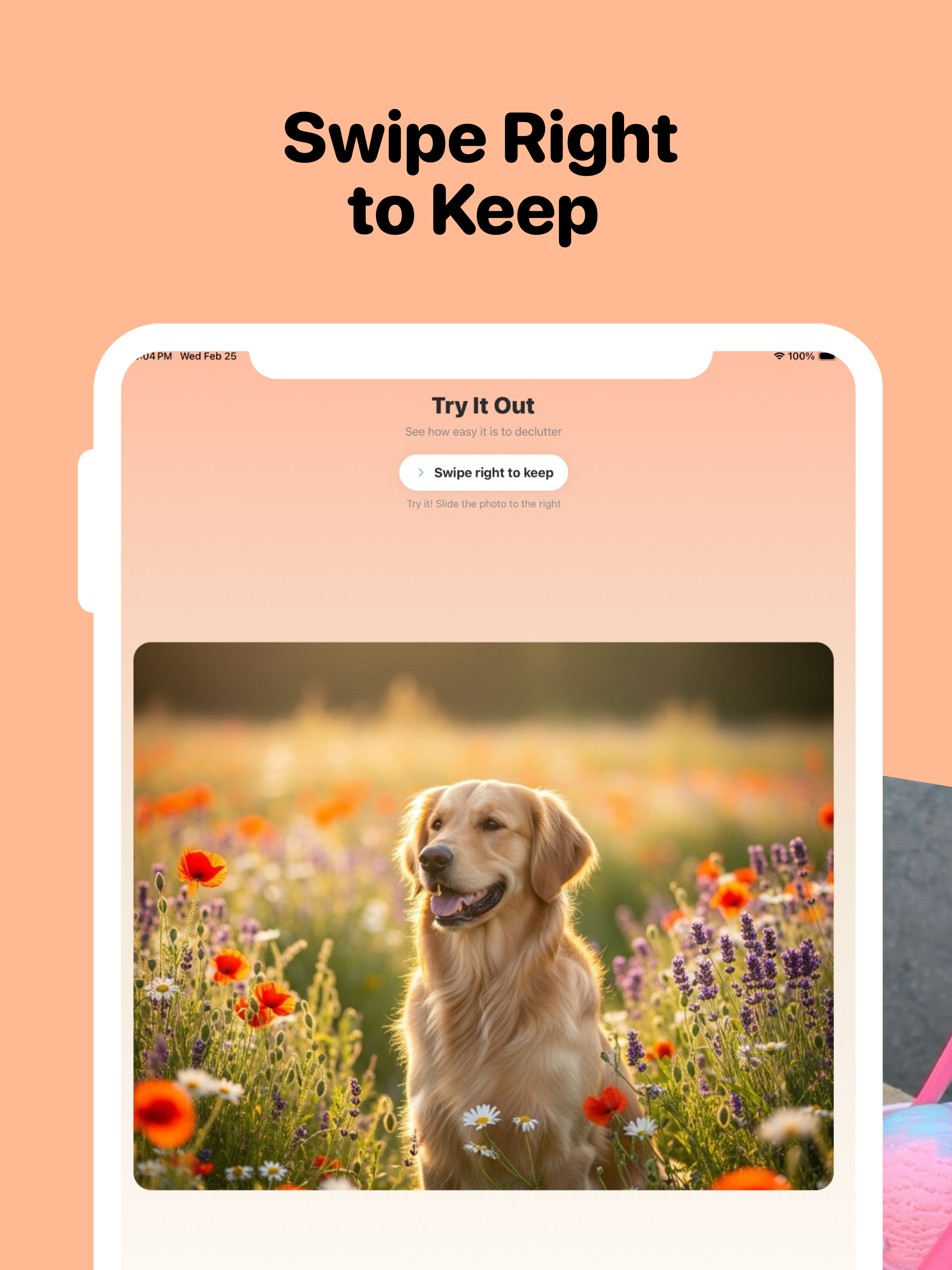 Swipedeck: Photo Cleaner App screenshot 8