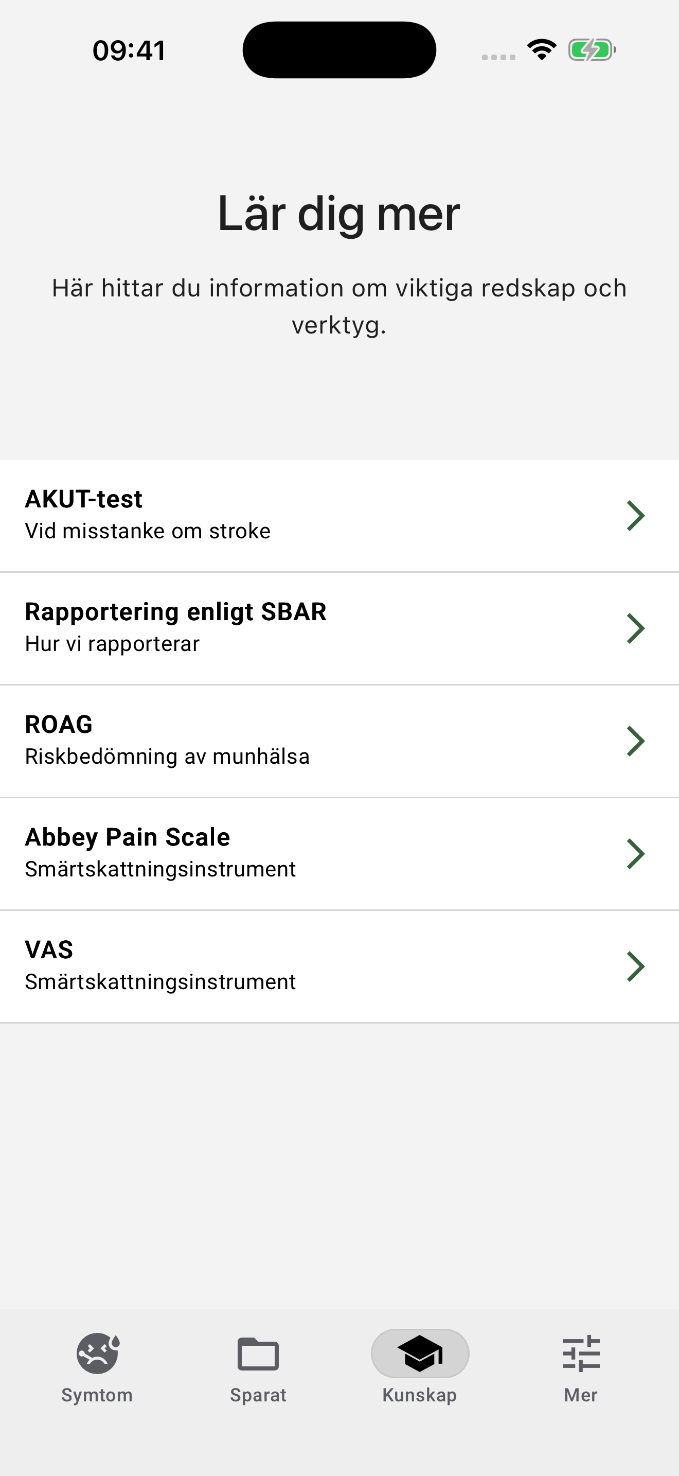 Rapporteringsstöd