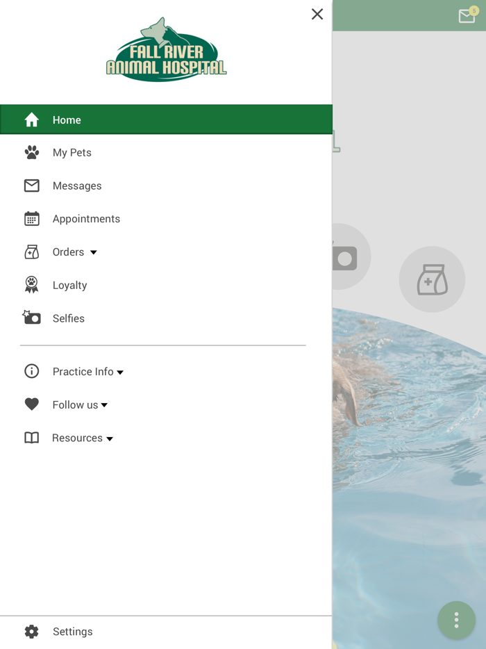 Fall River Animal Hospital