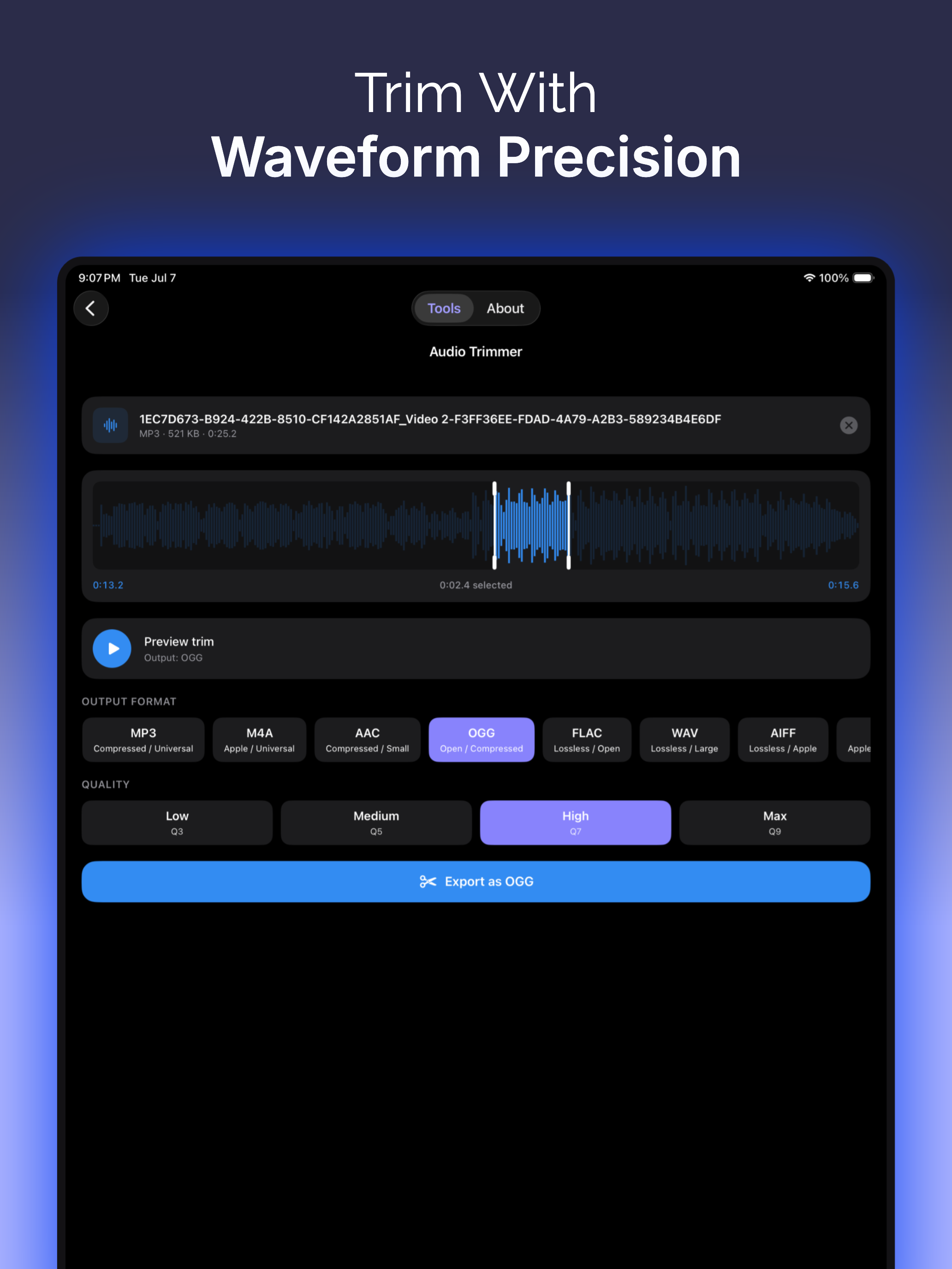 Audio Converter: OGG, MP3, WAV screenshot 12