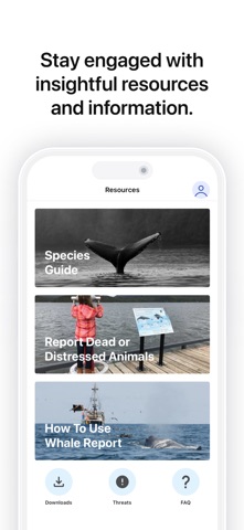 Whale Report Screenshot 5 of 5