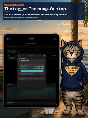RipCat: Tides, Buoys & Marine iPad screenshot