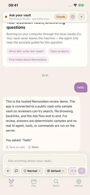 Remosidian screenshot 2