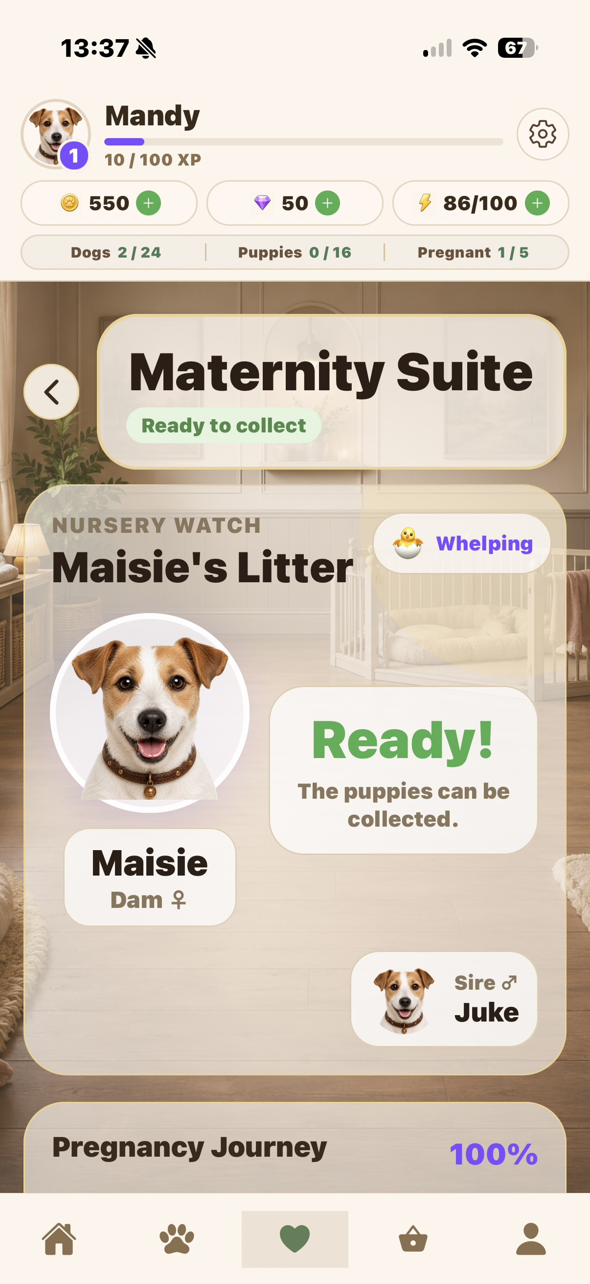 My Kennel: Dog Breeding Game screenshot 7