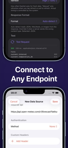 Dashlet iPhone screenshot