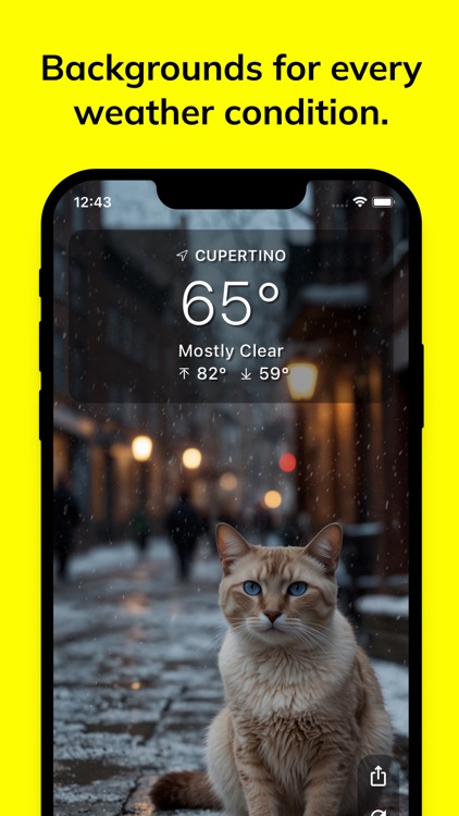Meow Weather - Cat Forecast