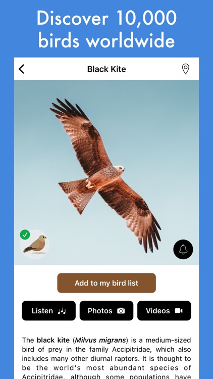 Smart Bird ID (India & Asia) screenshot-5