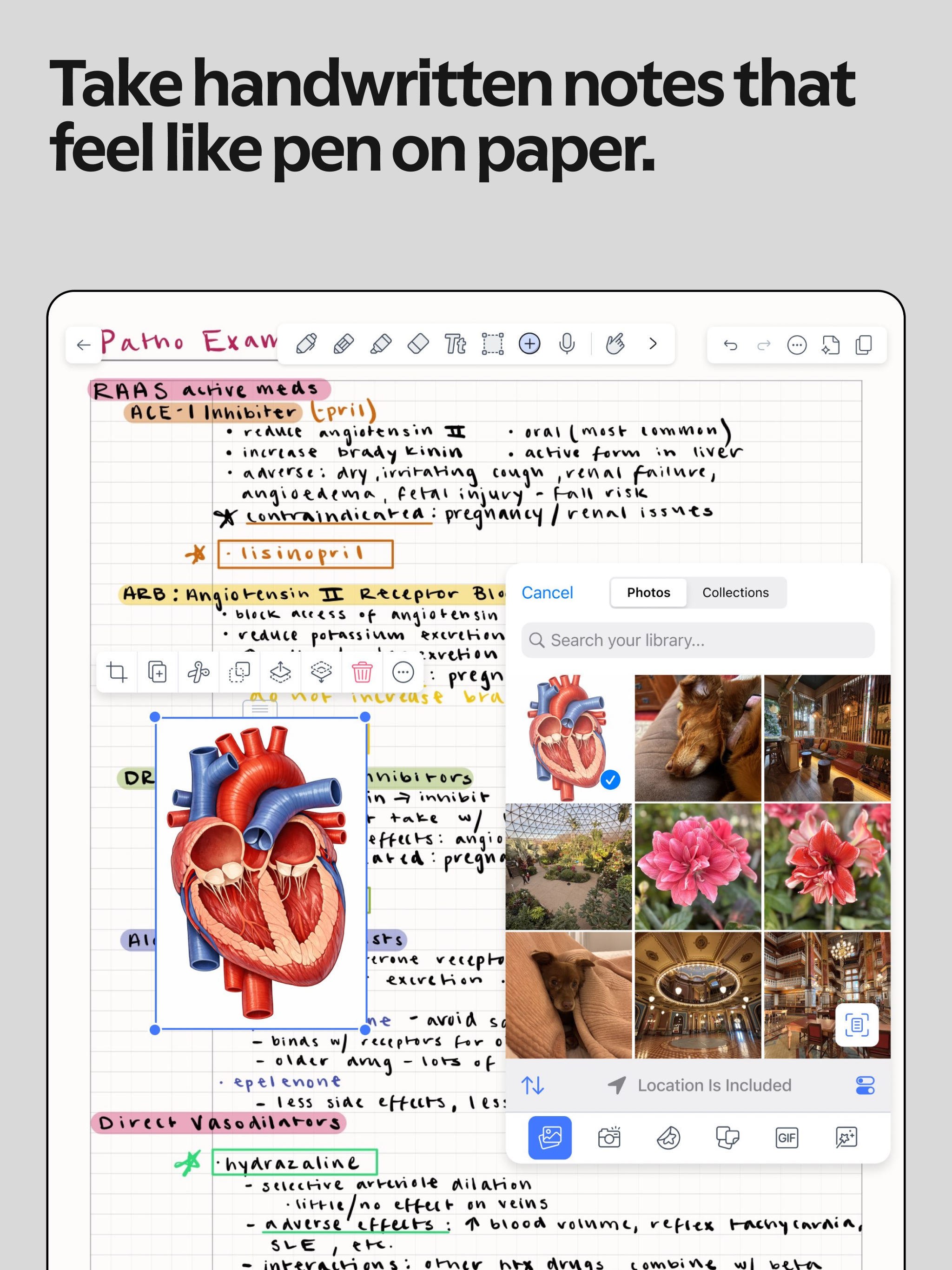 https://is1-ssl.mzstatic.com/image/thumb/PurpleSource211/v4/4e/53/ed/4e53edfe-e9db-71e7-0c06-1e6540d0c6d9/4-iPadPro.EN.jpg/2048x2732.png