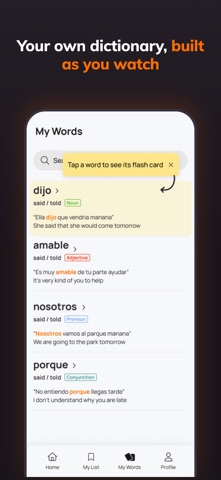 DramaRizz – Language Dramas Screenshot 9 of 9