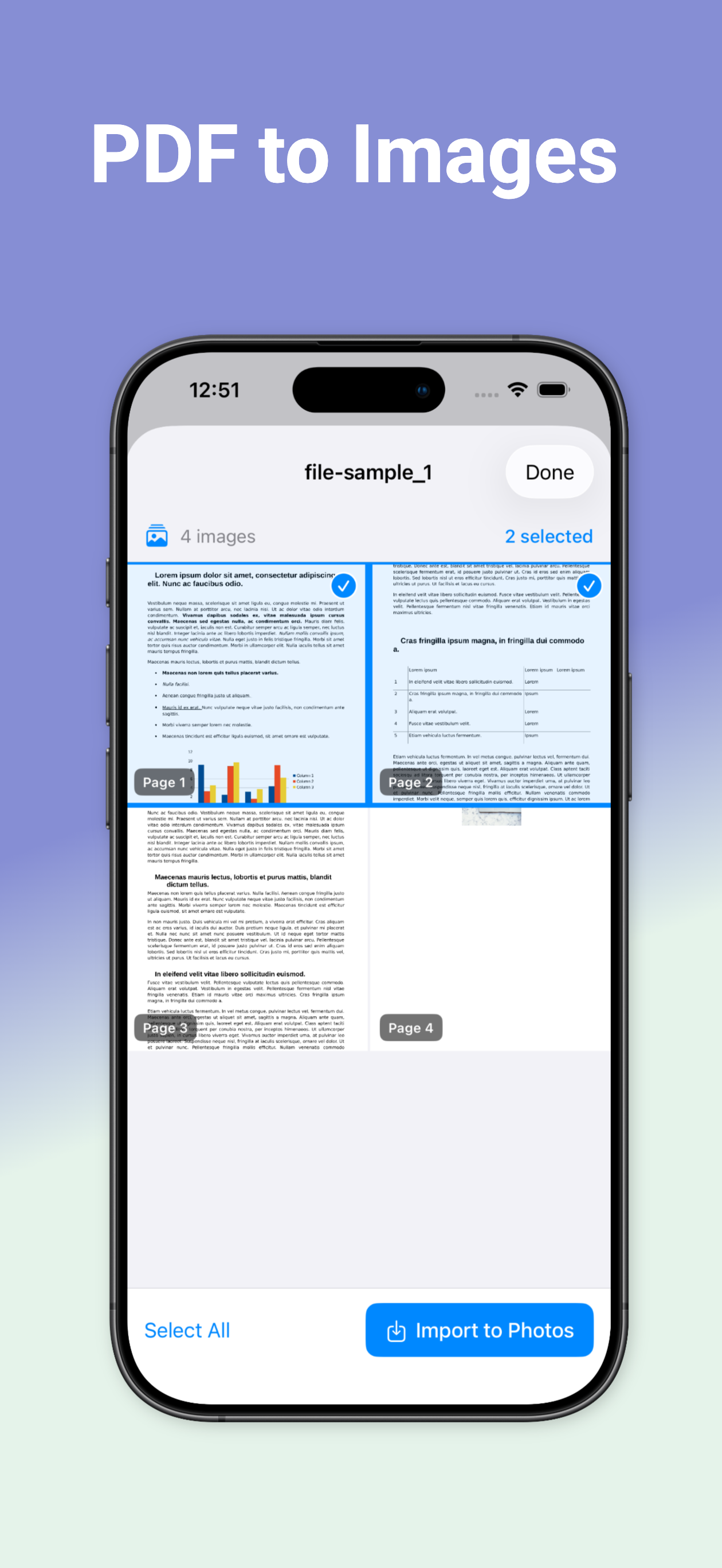 DocPI- PDF to Images screenshot 4