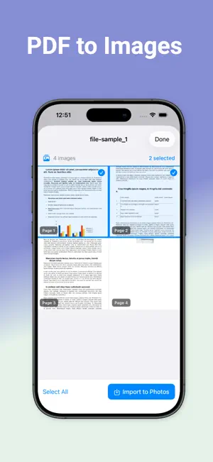 DocPI- PDF to Images screenshot 4