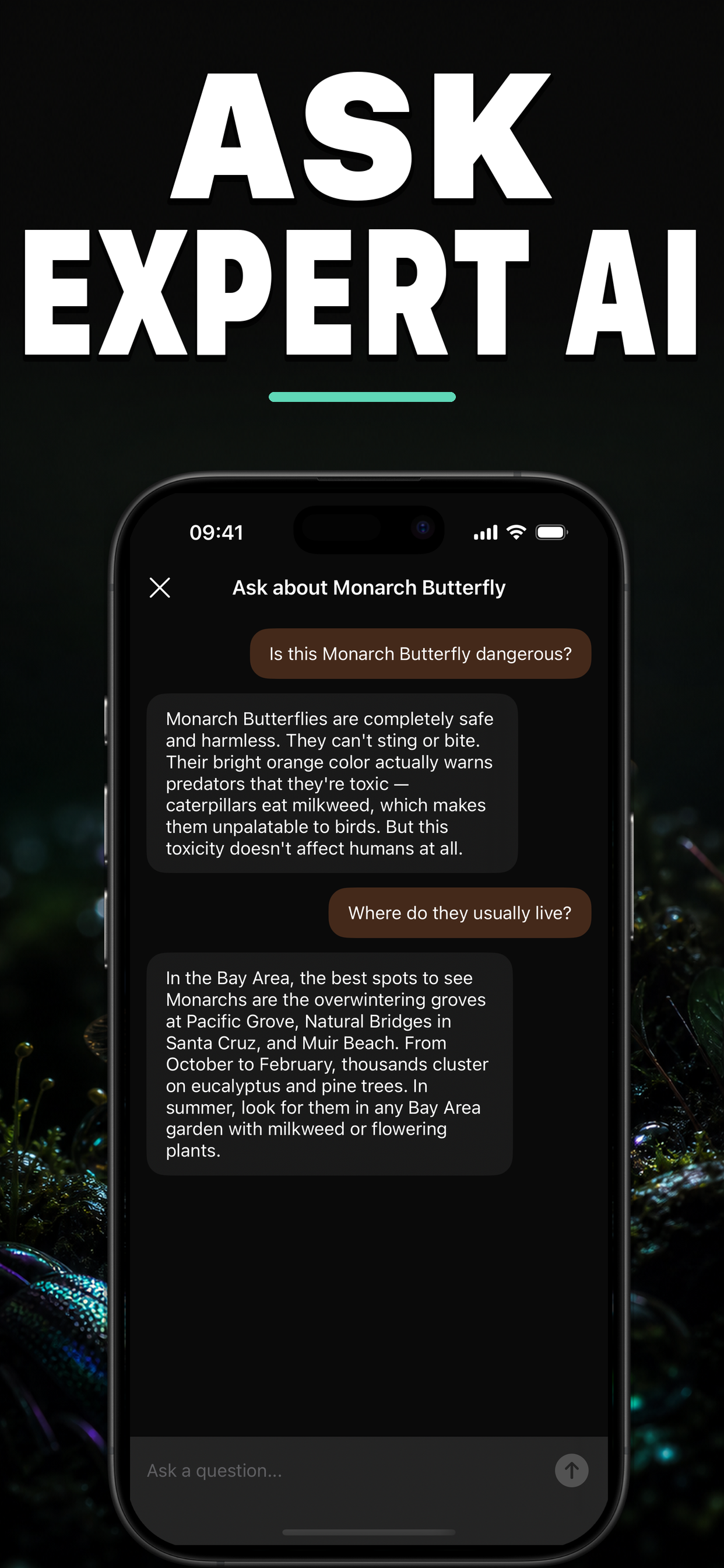 Bugo AI: Bug Identifier