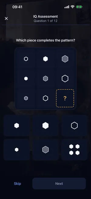 Synava IQ screenshot 3