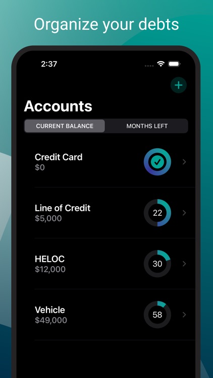 Debt Zero: Snowball Calculator