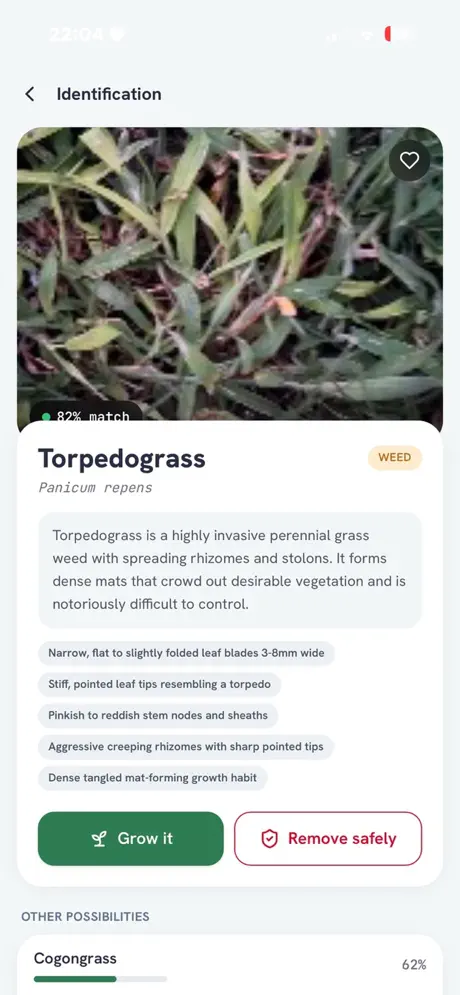 TorqLens screenshot 4
