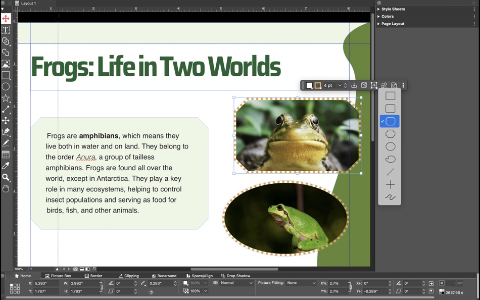 #4. QuarkXPress (macOS) 由: Quark