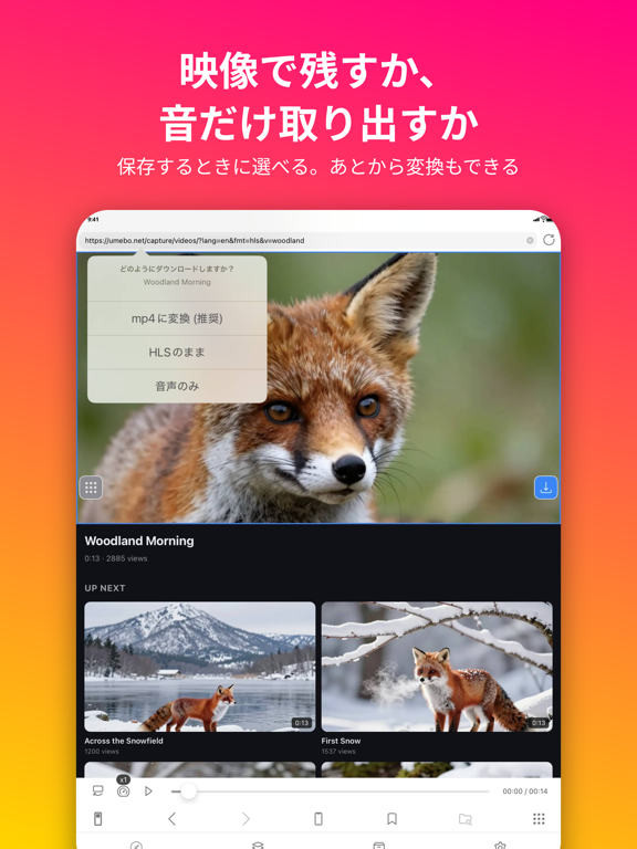動画保存 / バックグラウンド再生 / iCap iPad screenshot 4