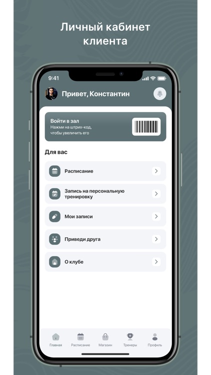 Академия льда