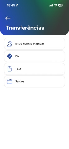 MapiPay Screenshot 4 of 7