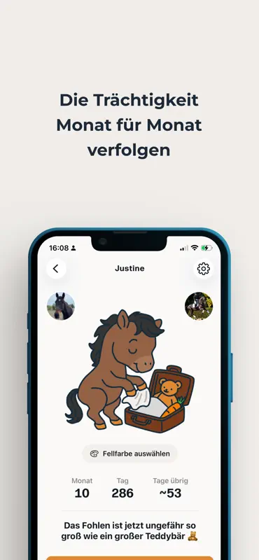 Avla – Zucht & Trächtigkeit screenshot 6 of 6