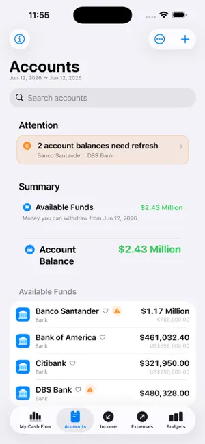 Cash Flow Max screenshot 4