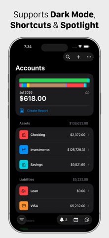 Ledger - Accounting screenshot