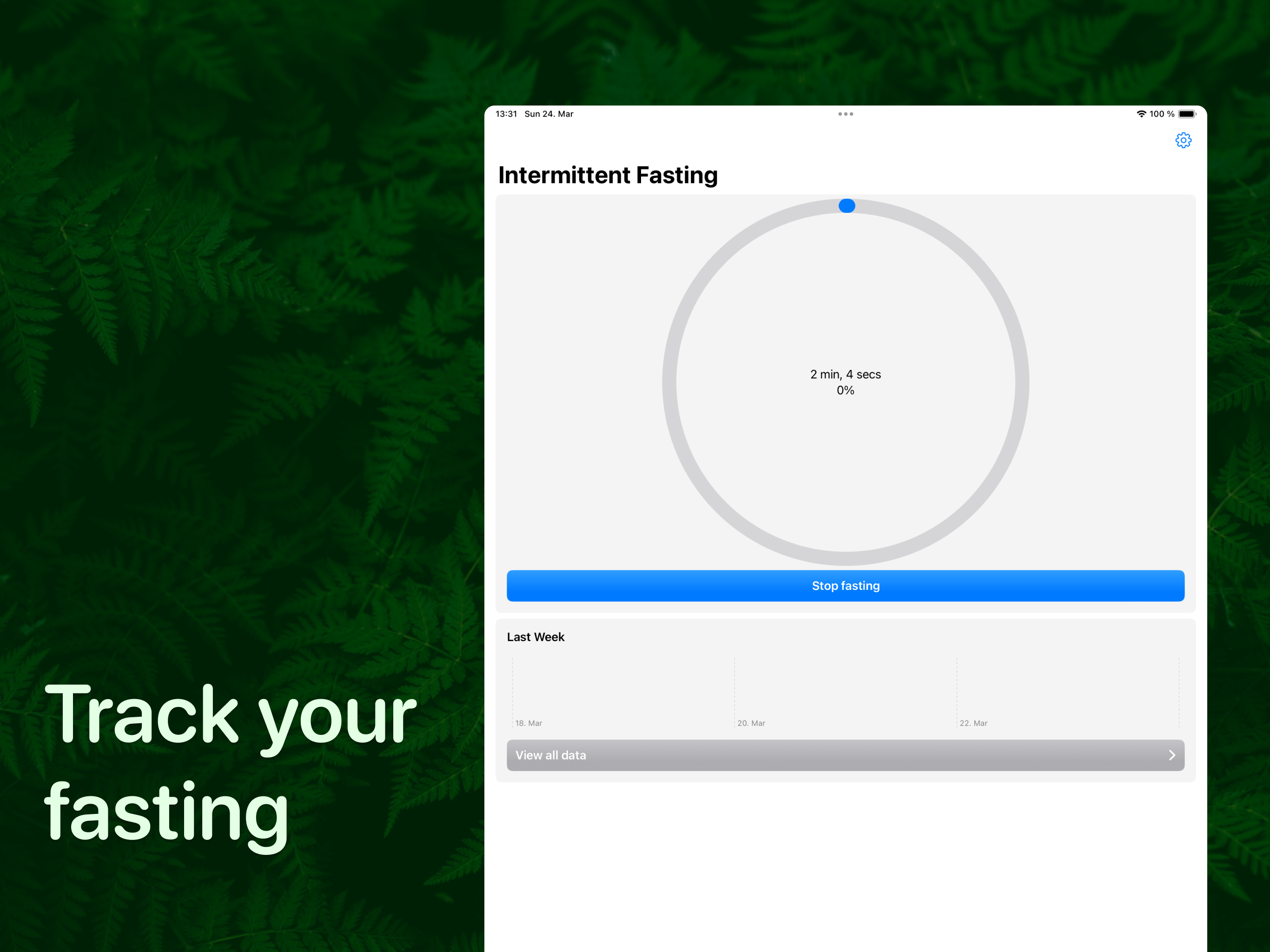 Intermittent Fasting Widget