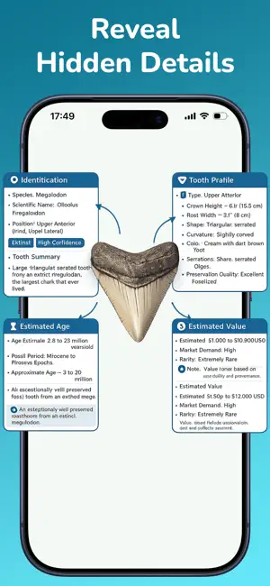 Shark Tooth Identifier:AI Scan screenshot 3