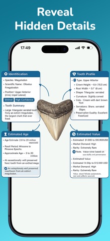 Shark Tooth Identifier:AI Scan Screenshot 3 of 6