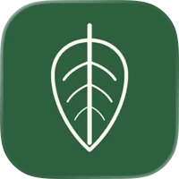 Icon image