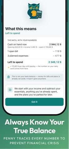 Finvision: Budget & AI Finance iPhone screenshot