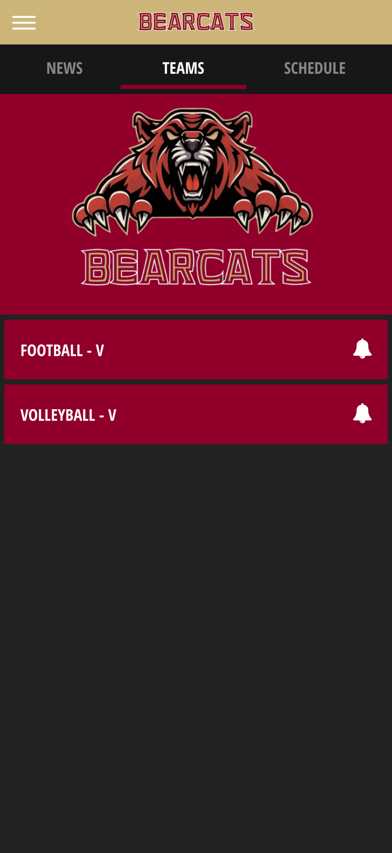 Rock Hill Bearcats screenshot 4