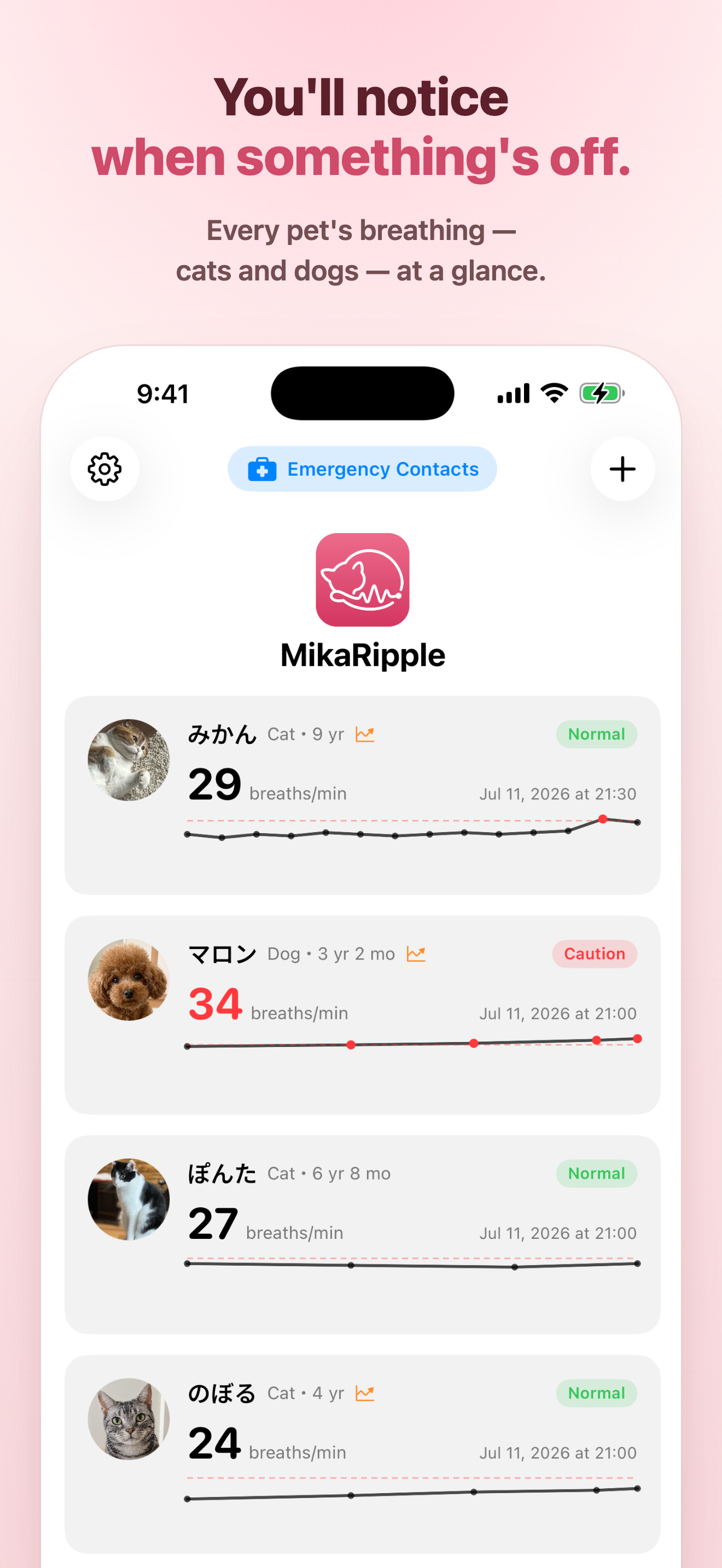 MikaRipple screenshot 3