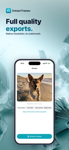 Framely - Extract Frames Screenshot 5 of 5