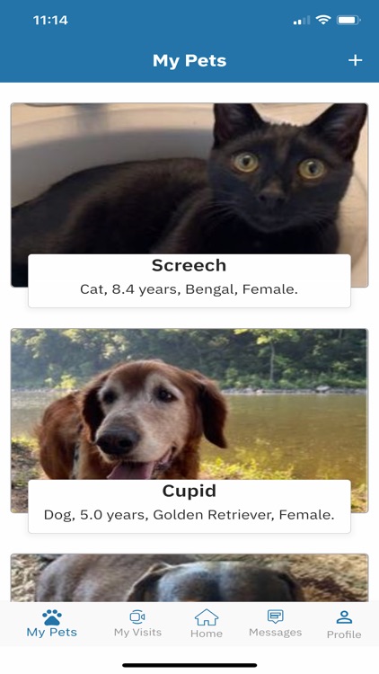 BluPaws screenshot-3