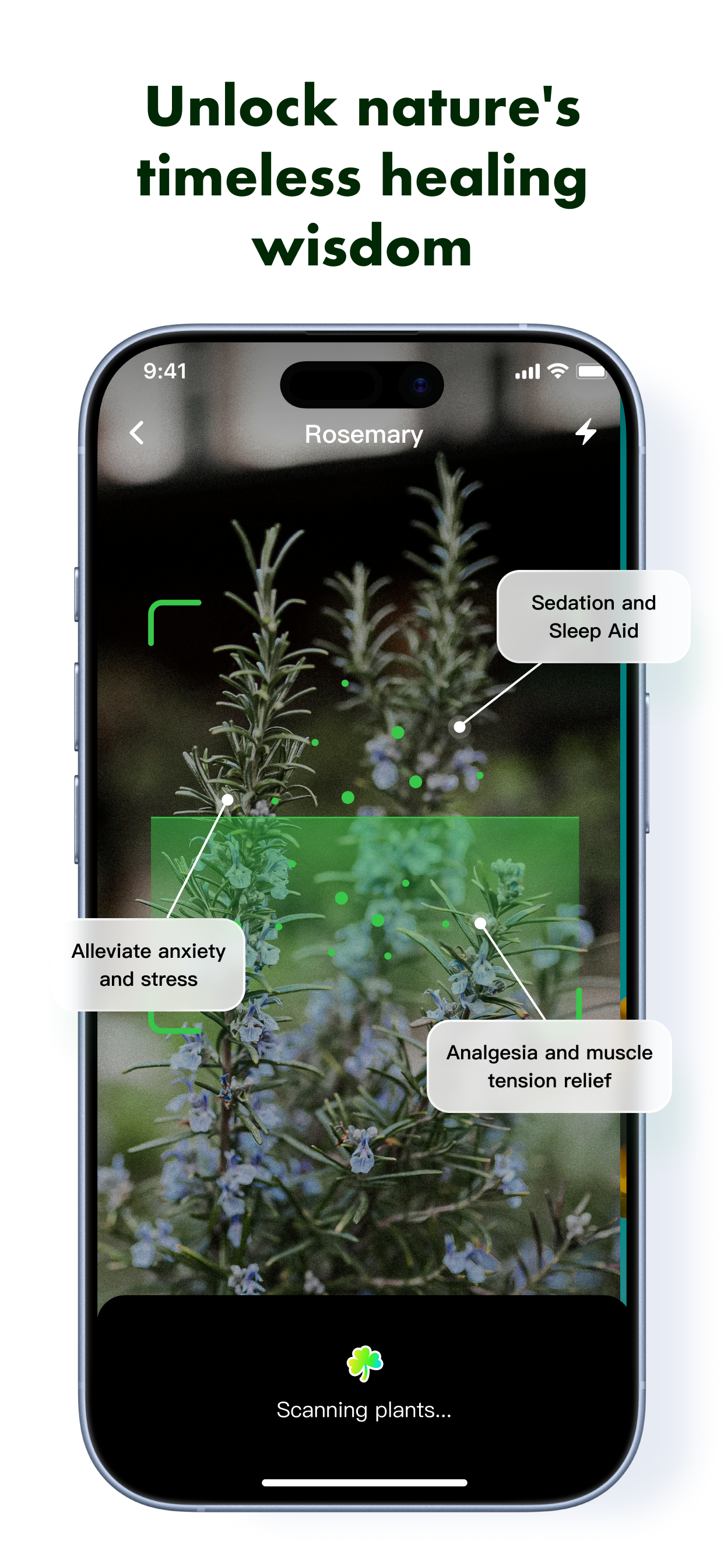 WildForager: Foraging ID Guide