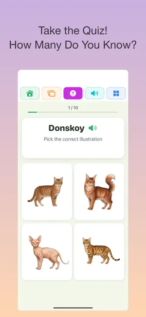 100 Cats: Kids Encyclopedia screenshot 3