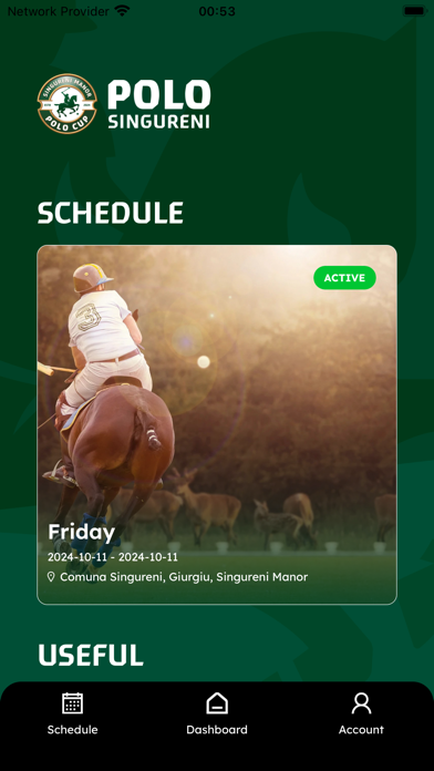Singureni Manor Polo Cup Screenshot