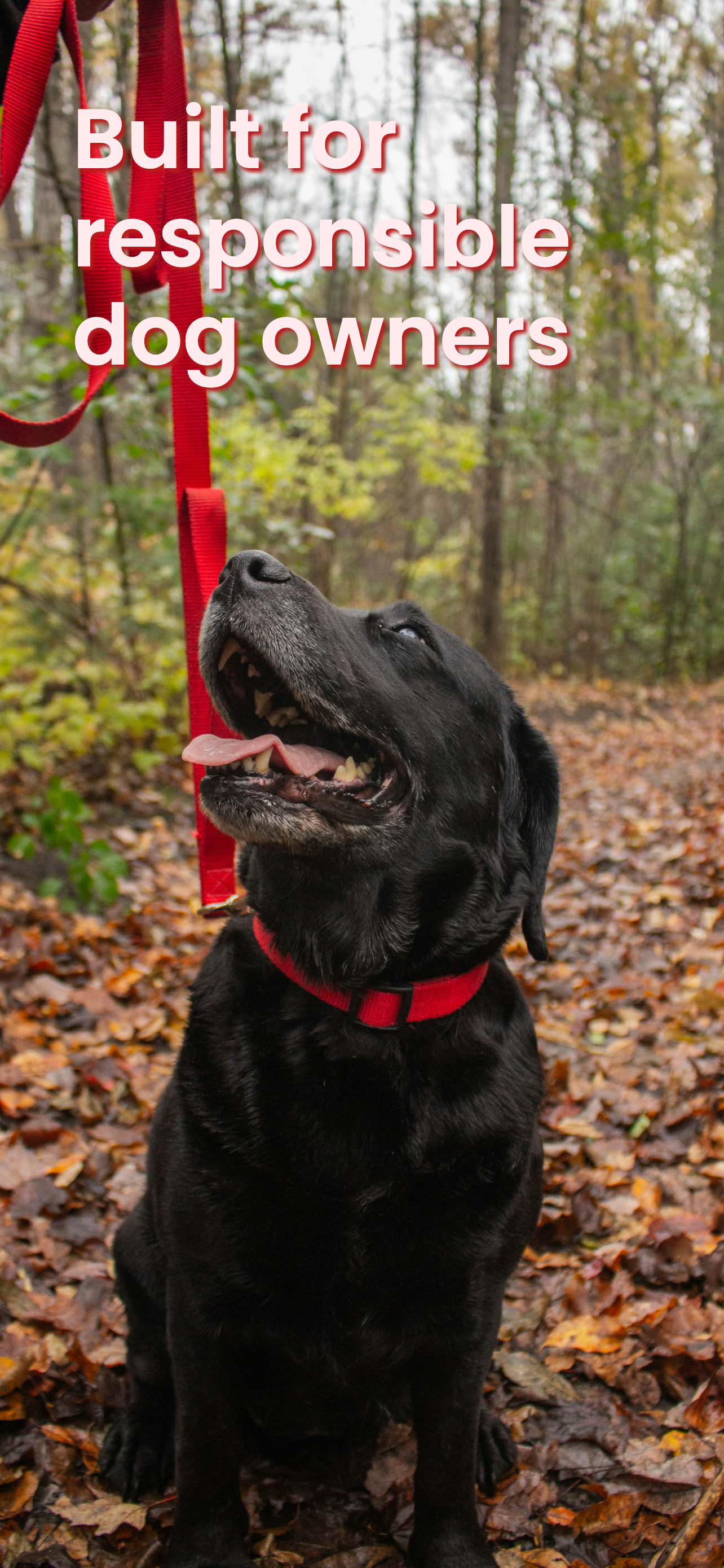 Walkies! Dog Tracker & Health screenshot 6