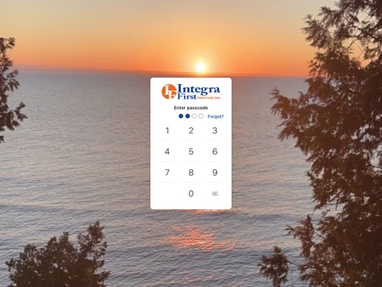 Integra First iPad screenshot 2 - Finance app
